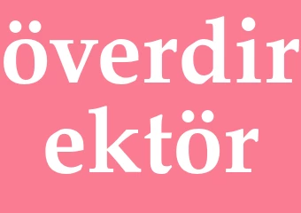 Synonym överdirektör