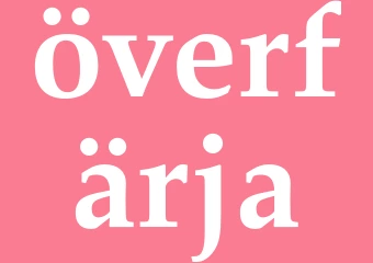 Synonym överfärja