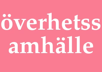 Synonym överhetssamhälle
