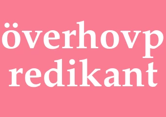 Synonym överhovpredikant