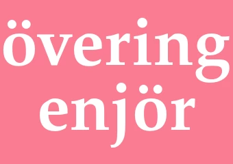 Synonym överingenjör