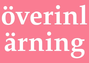 Synonym överinlärning