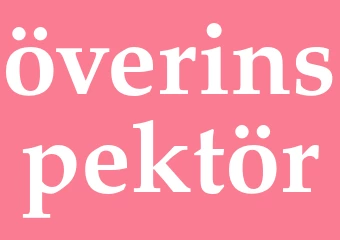 Synonym överinspektör