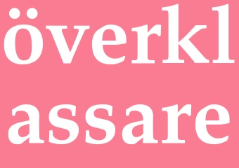 Synonym överklassare