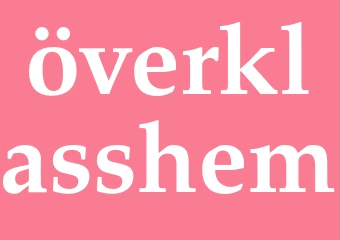 Synonym överklasshem