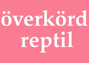 Synonym överkörd reptil