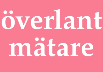 Synonym överlantmätare