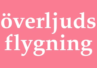 Synonym överljudsflygning