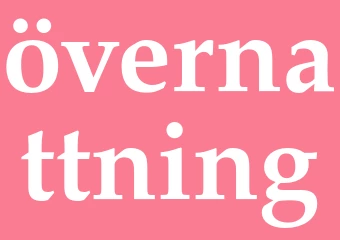 Synonym övernattning