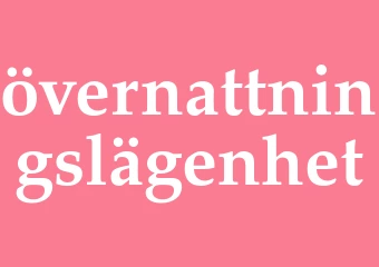 Synonym övernattningslägenhet