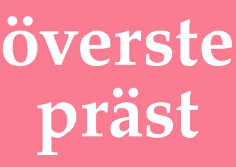 Synonym överstepräst