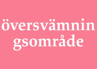 Synonym översvämningsområde