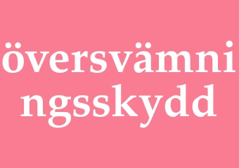 Synonym översvämningsskydd