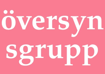 Synonym översynsgrupp