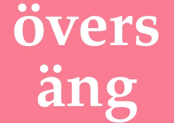 Synonym översäng