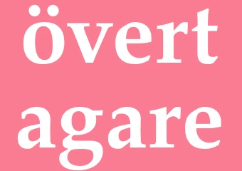 Synonym övertagare