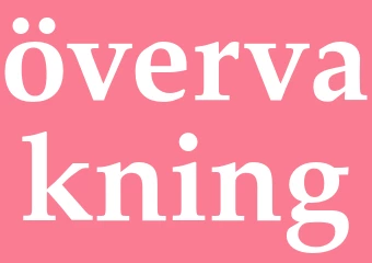 Synonym övervakning