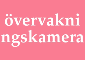 Synonym övervakningskamera