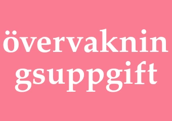 Synonym övervakningsuppgift