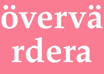 Synonym övervärdera