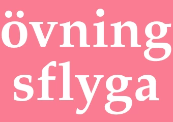 Synonym övningsflyga