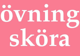 Synonym övningsköra