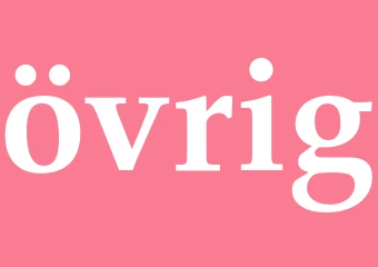 Synonym övrig